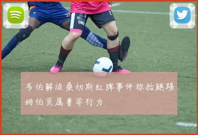 韦伯解读桑切斯红牌事件称抬腿踢姆伯莫属鲁莽行为