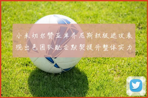 小米切尔赞亚库乔尼斯积极进攻表现出色团队配合默契提升整体实力